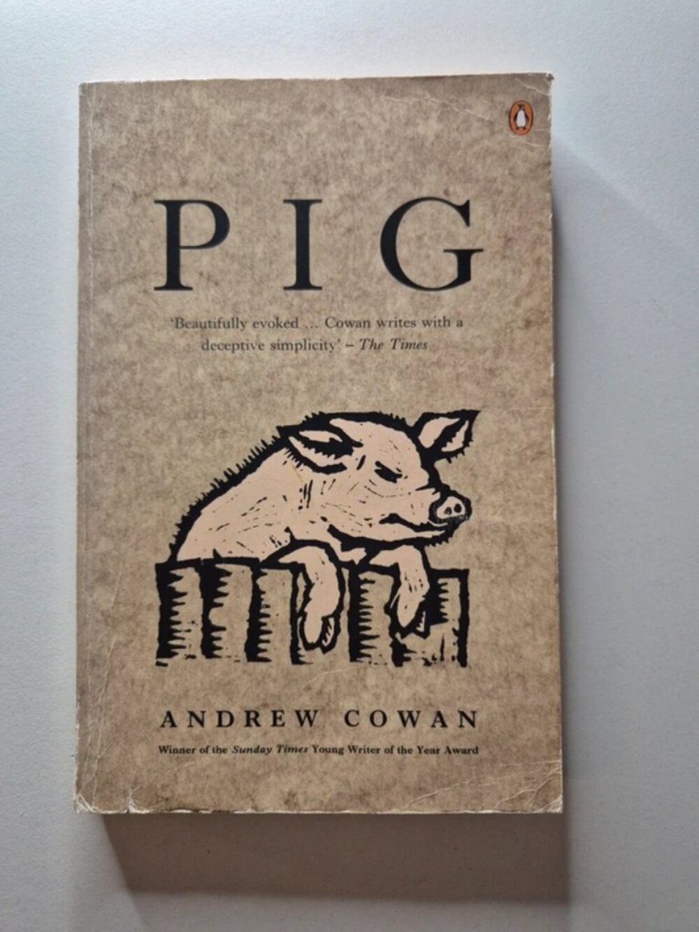 Pig by Andrew Cowan